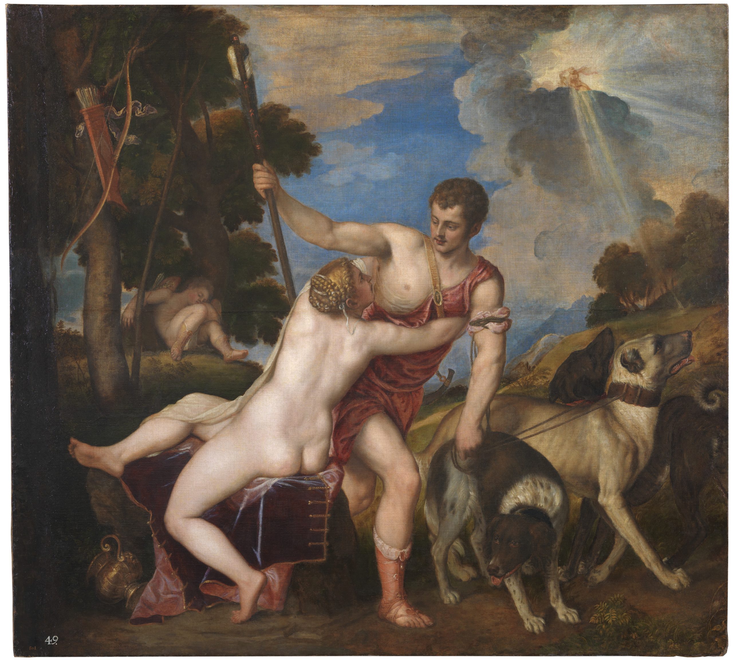 venus and adonus